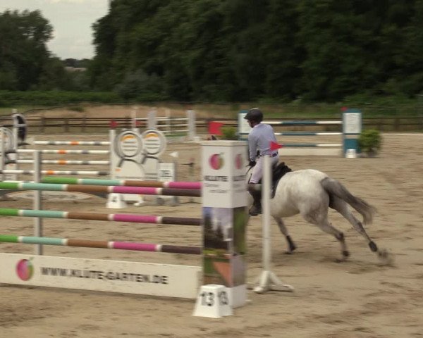 Reitturnier Hemer 2023