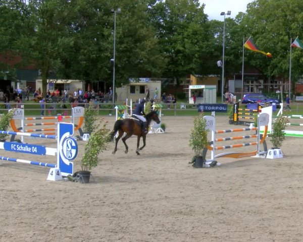 Reitturnier Barlo-Bocholt 2023