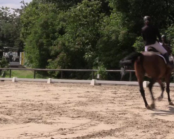 Reitturnier Marienheide-Kempershöhe 2023