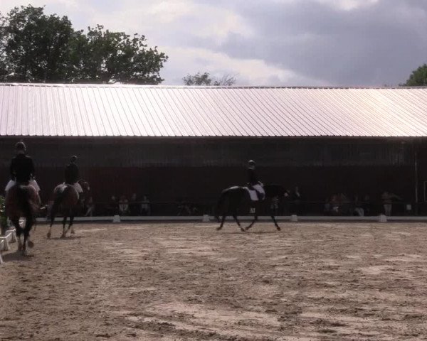 Reitturnier Marienheide-Kempershöhe 2023