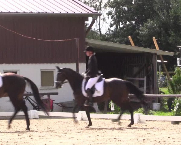 Reitturnier Marienheide-Kempershöhe 2023