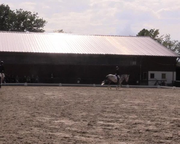 Reitturnier Marienheide-Kempershöhe 2023