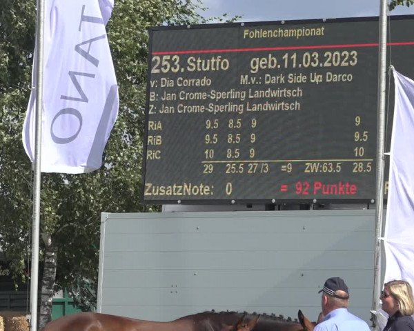 Horse24 Deutsches Fohlenchampionat 2023