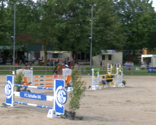 Reitturnier Barlo-Bocholt 2023