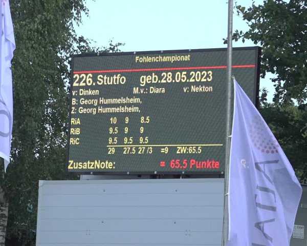 Horse24 Deutsches Fohlenchampionat 2023