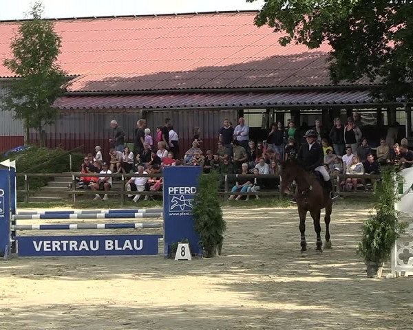 Reitturnier Marienheide-Kempershöhe 2023