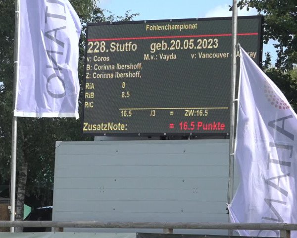 Horse24 Deutsches Fohlenchampionat 2023