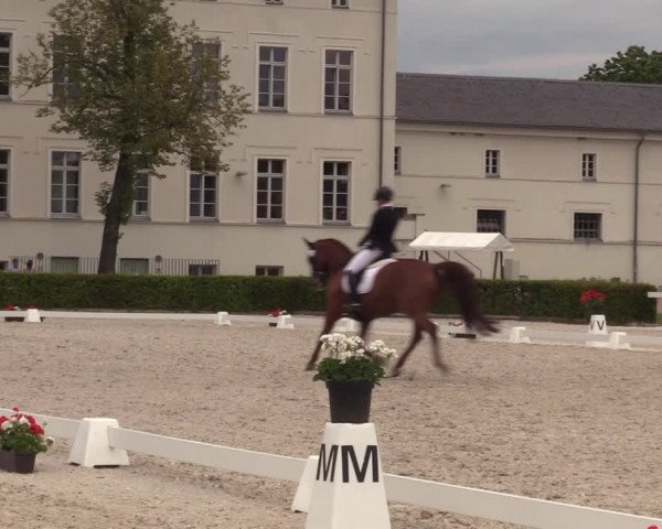 Reitturnier Neustadt/Dosse 2023