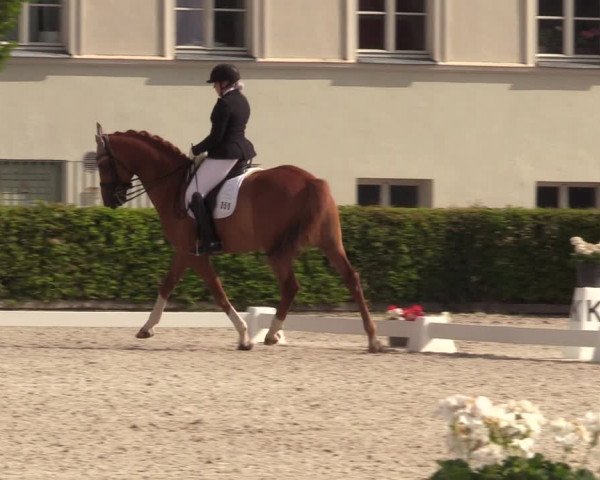 Reitturnier Neustadt/Dosse 2023