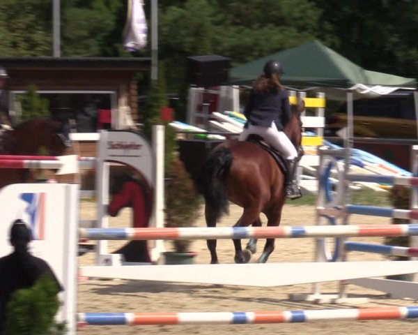 Reitturnier Bad Liebenstein/Sorga 2023