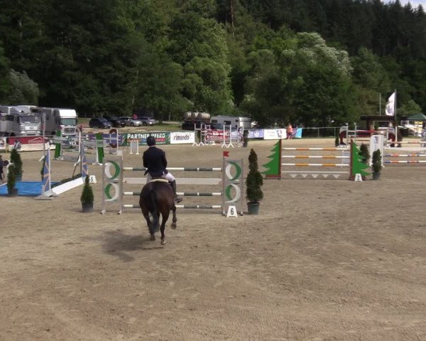 Reitturnier Bad Liebenstein/Sorga 2023