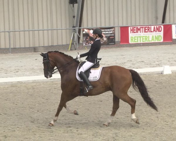 Reitturnier Ehningen 2023