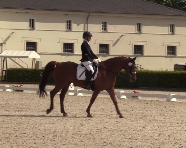 Reitturnier Neustadt/Dosse 2023