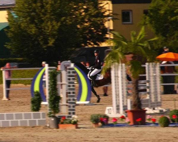 Reitturnier Neustadt/Dosse 2023