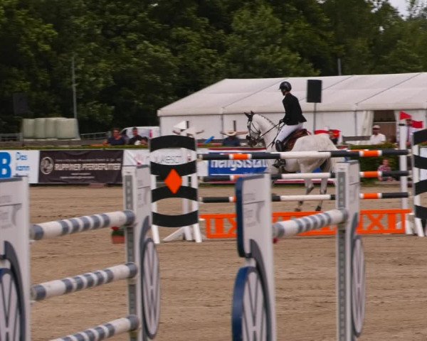 Reitturnier Neustadt/Dosse 2023