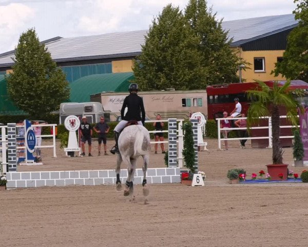 Reitturnier Neustadt/Dosse 2023