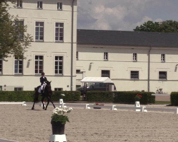 Reitturnier Neustadt/Dosse 2023