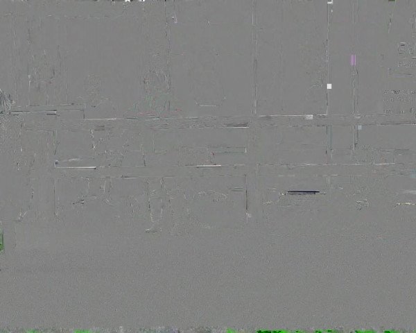 Horse24 Deutsches Fohlenchampionat 2023