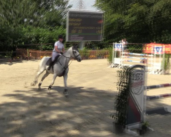 Reitturnier Marienheide-Kempershöhe 2023
