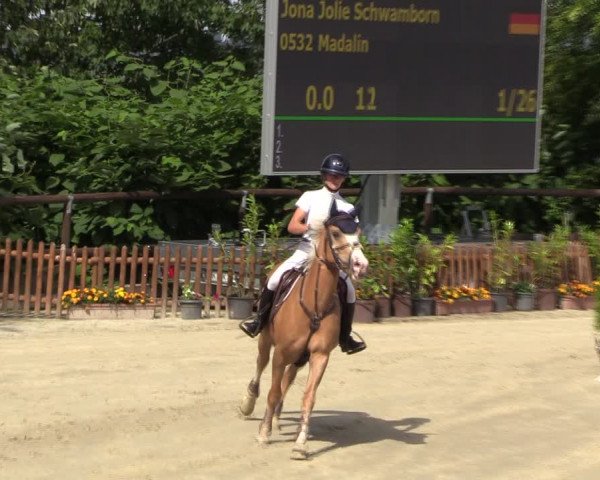 Reitturnier Marienheide-Kempershöhe 2023