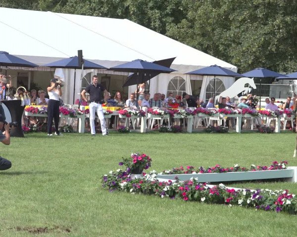 Horse24 Deutsches Fohlenchampionat 2023