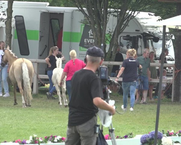 Horse24 Deutsches Fohlenchampionat 2023