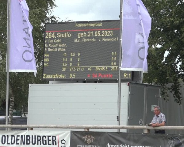 Horse24 Deutsches Fohlenchampionat 2023