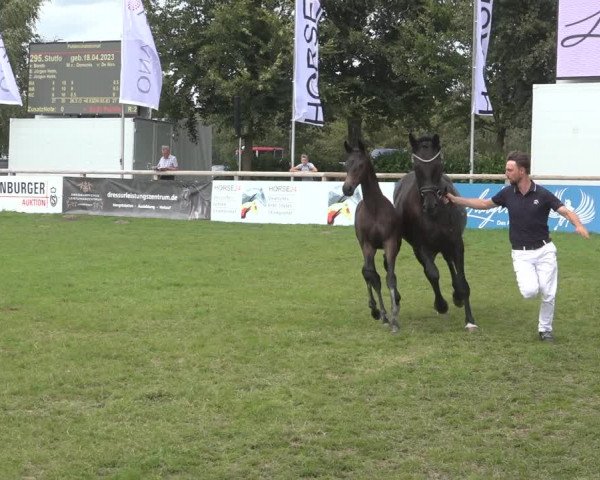 Horse24 Deutsches Fohlenchampionat 2023