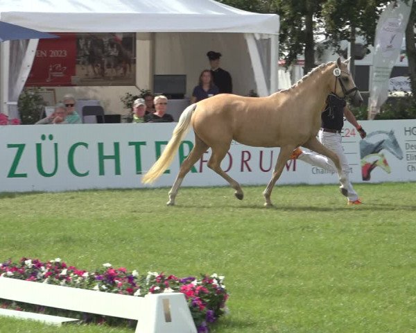 Horse24 Deutsches Elite-Stutenchampionat 2023