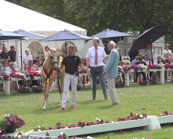Horse24 Deutsches Elite-Stutenchampionat 2023