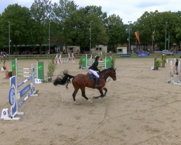 Reitturnier Barlo-Bocholt 2023