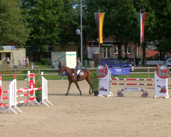 Reitturnier Barlo-Bocholt 2023