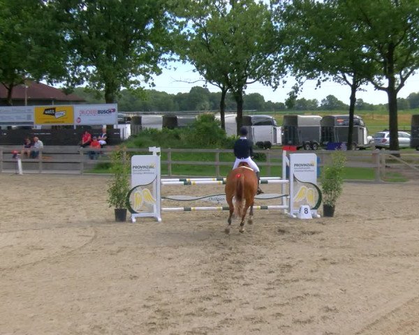 Reitturnier Barlo-Bocholt 2023