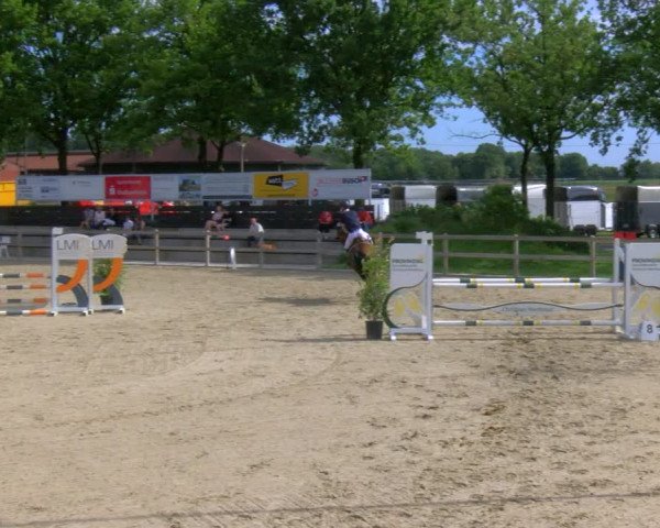 Reitturnier Barlo-Bocholt 2023