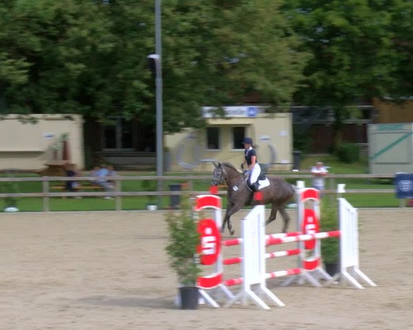 Reitturnier Barlo-Bocholt 2023