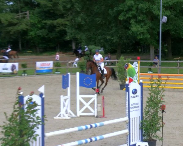 Reitturnier Barlo-Bocholt 2023
