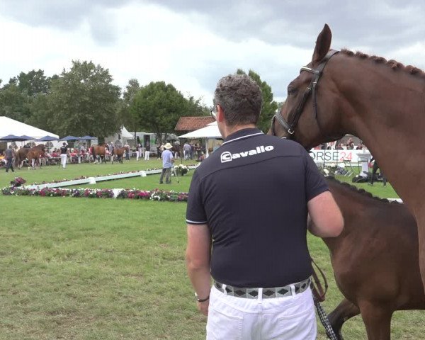 Horse24 Deutsches Fohlenchampionat 2023