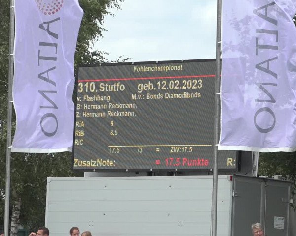 Horse24 Deutsches Fohlenchampionat 2023