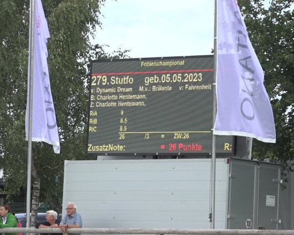 Horse24 Deutsches Fohlenchampionat 2023