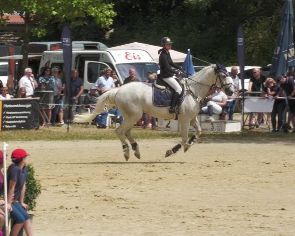 Reitturnier Heiligenwald 2023