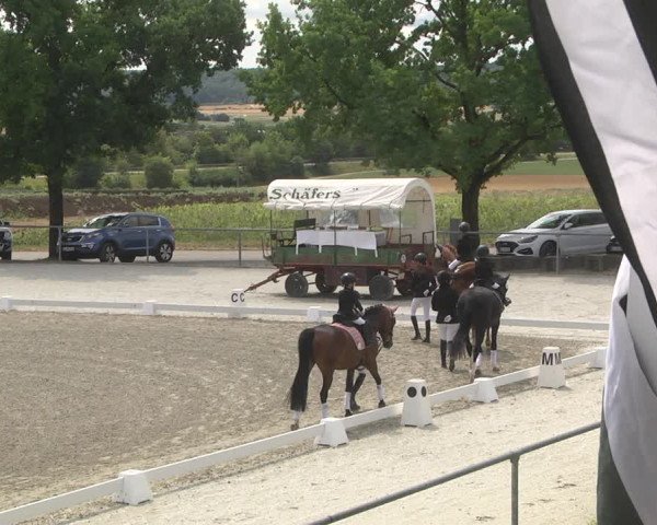Reitturnier Ehningen 2023
