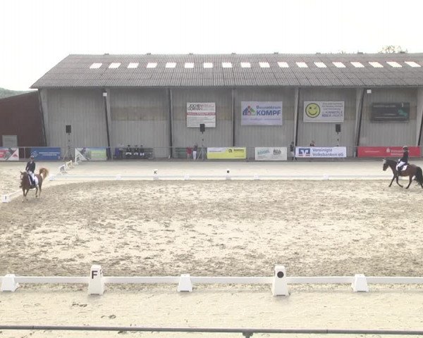 Reitturnier Ehningen 2023