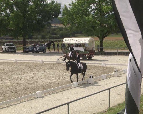 Reitturnier Ehningen 2023