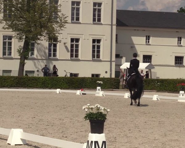 Reitturnier Neustadt/Dosse 2023