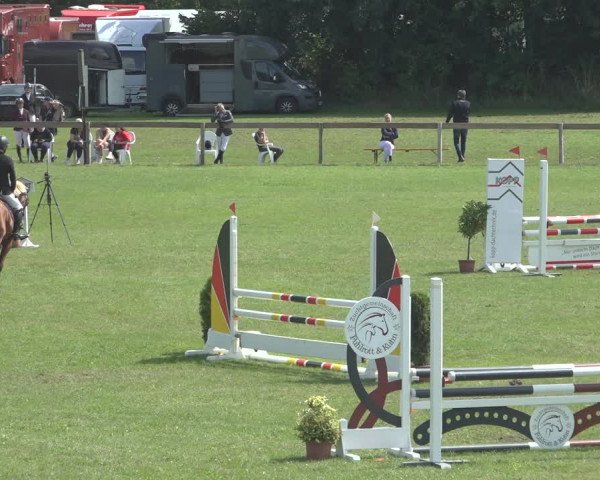 Reitturnier Pennigbüttel 2023