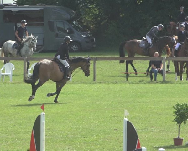 Reitturnier Pennigbüttel 2023