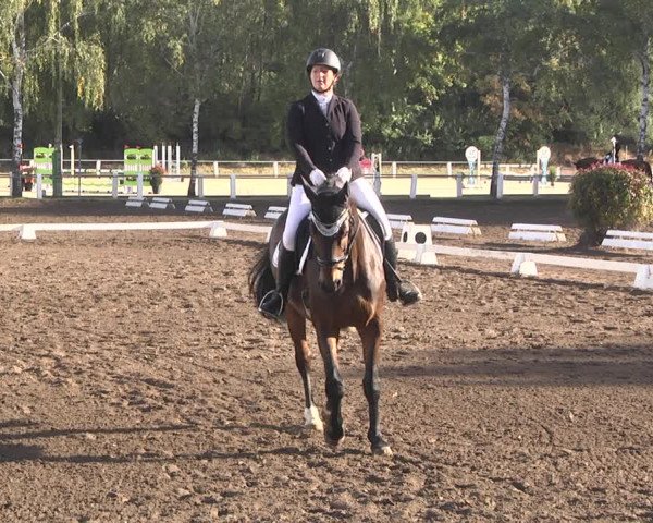 Reitturnier Forst 2021
