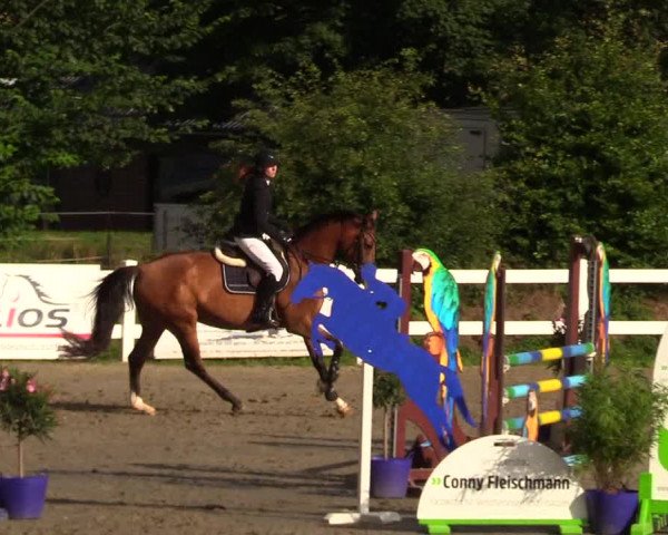 Reitturnier Mildstedt 2023