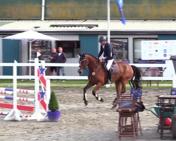 Reitturnier Mildstedt 2023