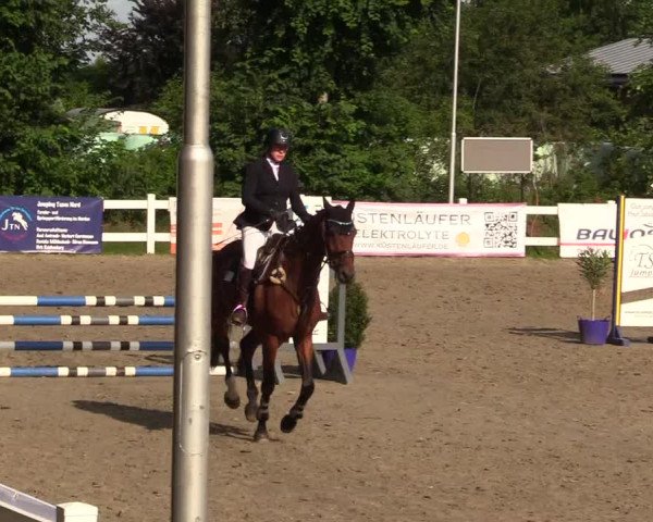 Reitturnier Mildstedt 2023